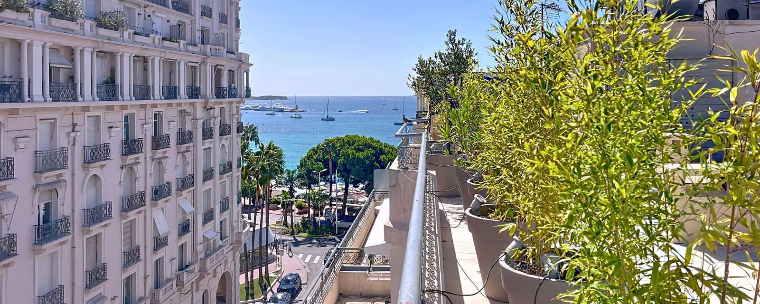 Cette photo 406-2025_00027.jpg, a été réduite de 89.42 % le Lundi 08 Septembre 2025 à 16:09 par Emjysoft Photo Réducteur v6.0 à télécharger sur https://www.emjysoft.com/