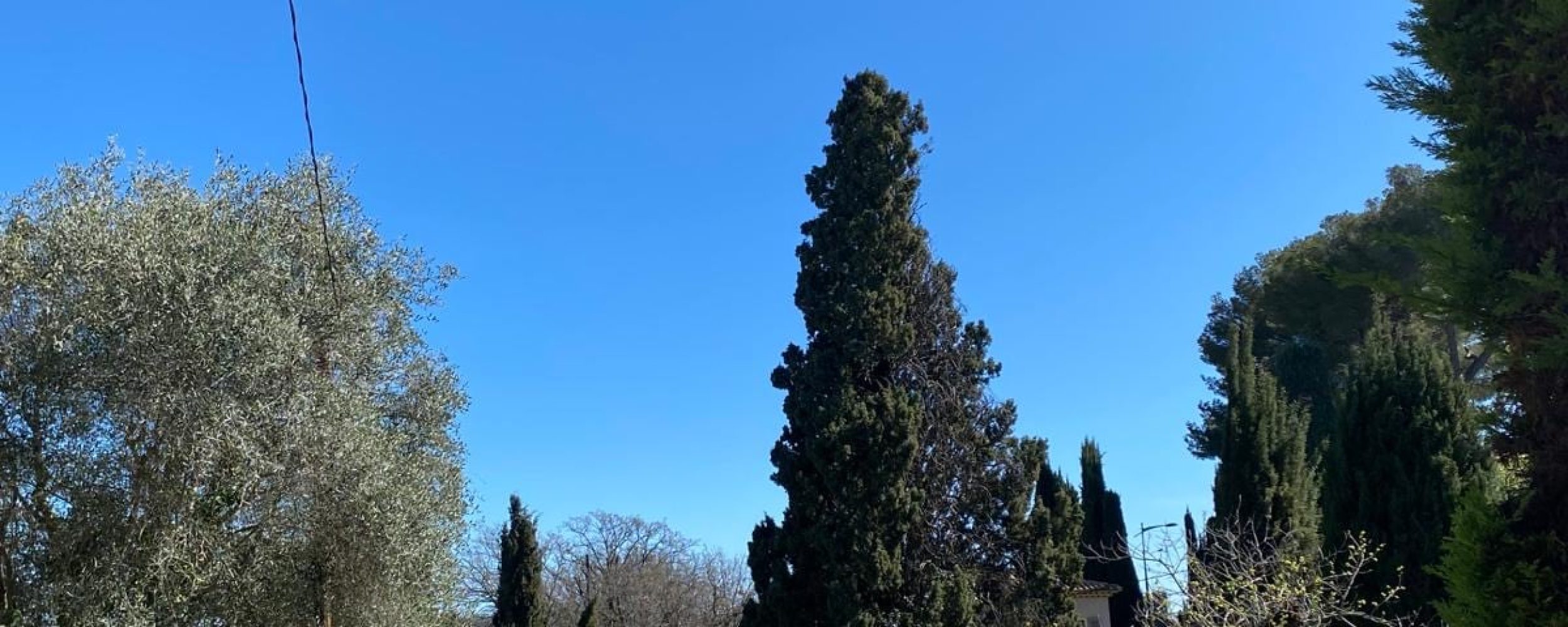 CAN45052070AB4BV (13)