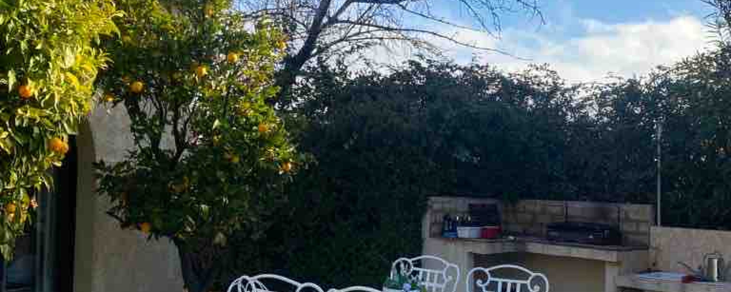 CAN45052070AB4BV (14)