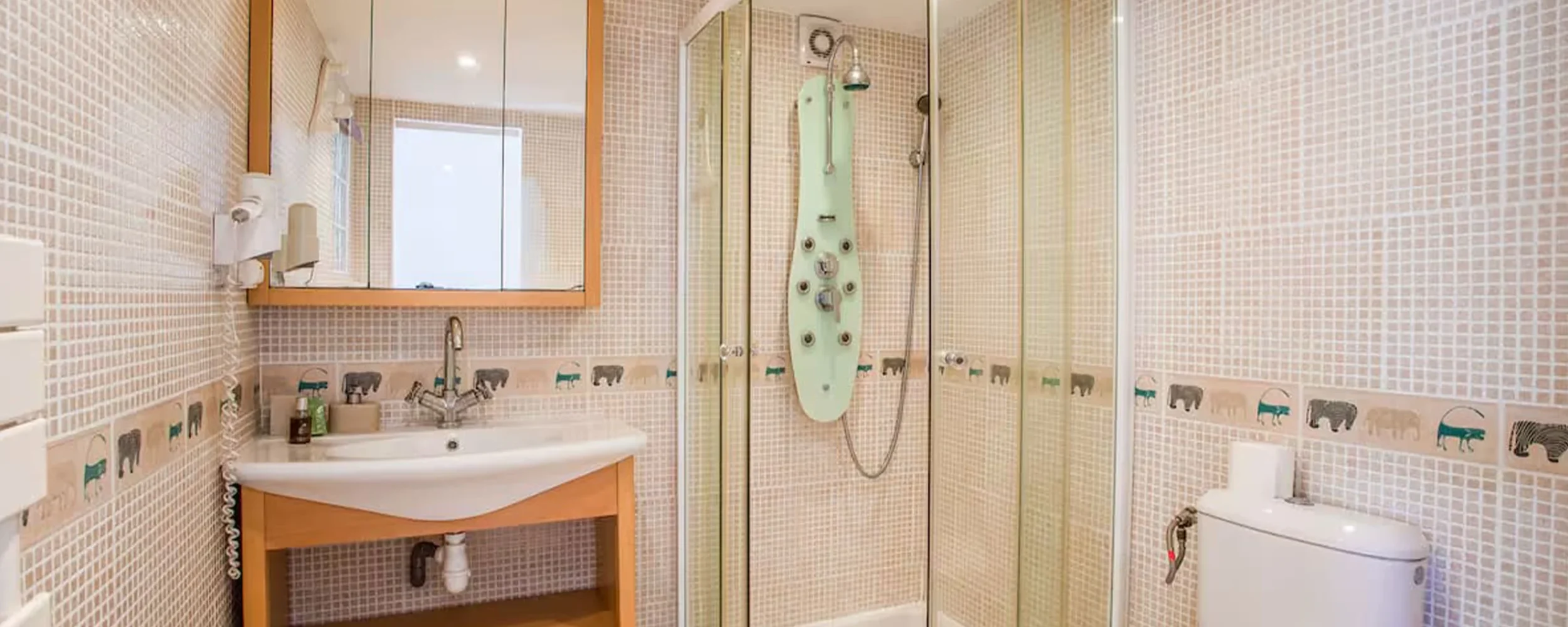 CAN51577019AB8BV (1)